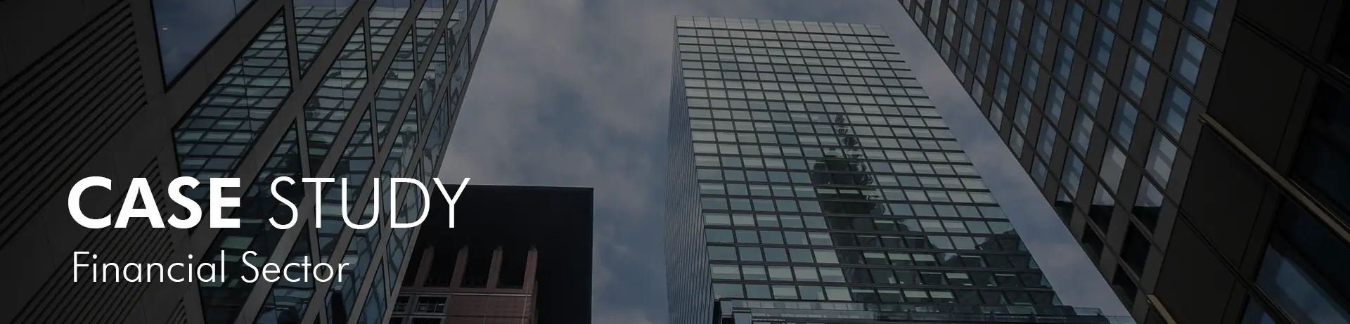 Financial Sector Case Study